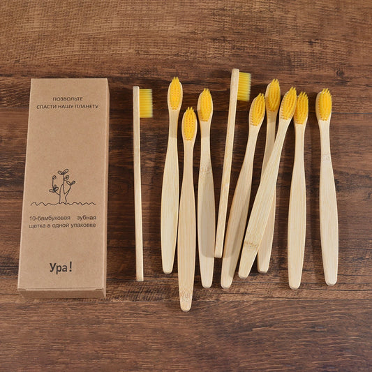 Natural Bamboo Toothbrushes — Pack of 10 | Sustainable, Stylish & Perfect for Everyday Use